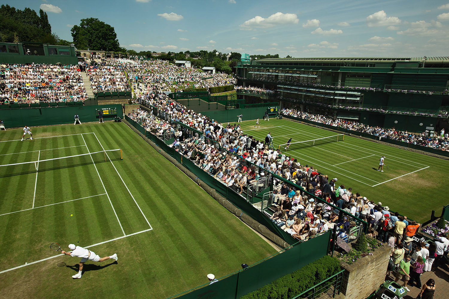 Wimbledon_day2-6370.jpg
