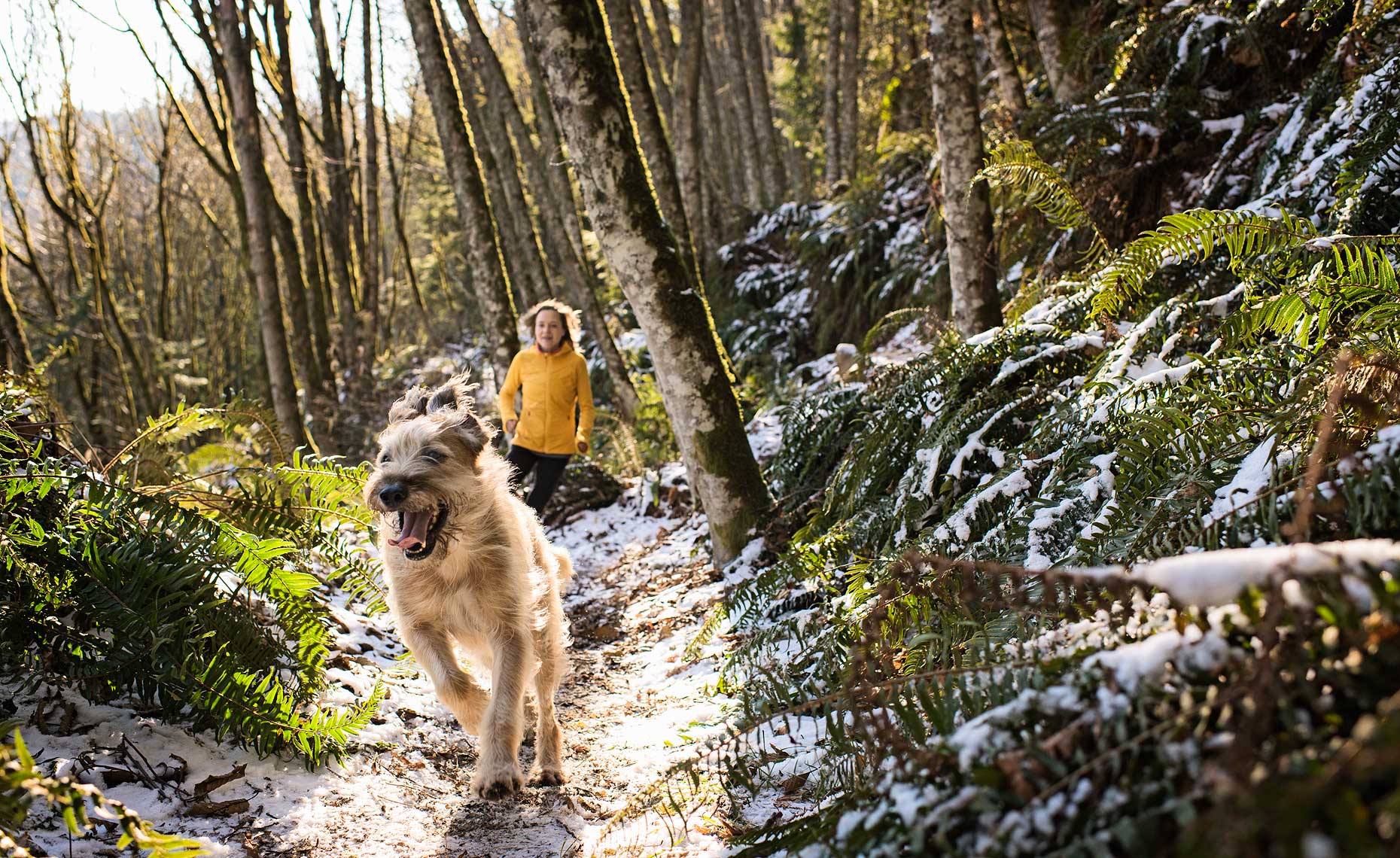 mountain_runners-9757_web.jpg