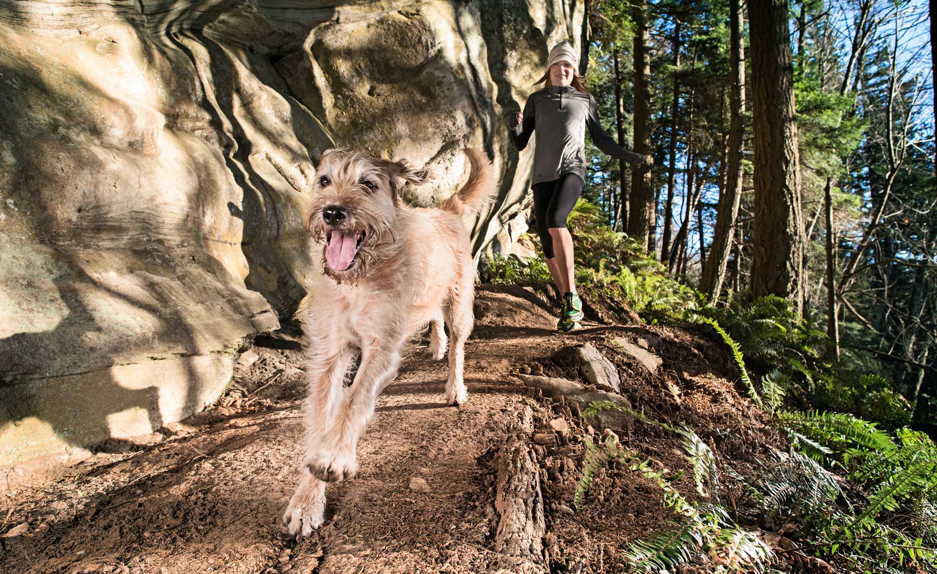 mountain_runners-9941_web.jpg